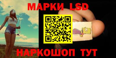 альфа пвп Новодвинск