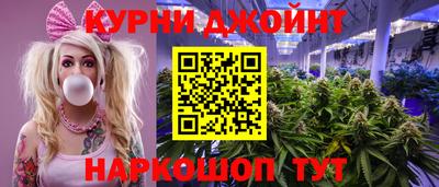 альфа пвп Новодвинск