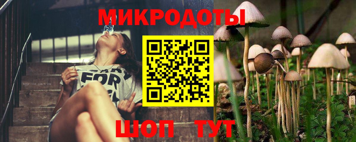 Галлюциногенные грибы Psilocybe  купить наркотики сайты  Сланцы  Вход с VPN 